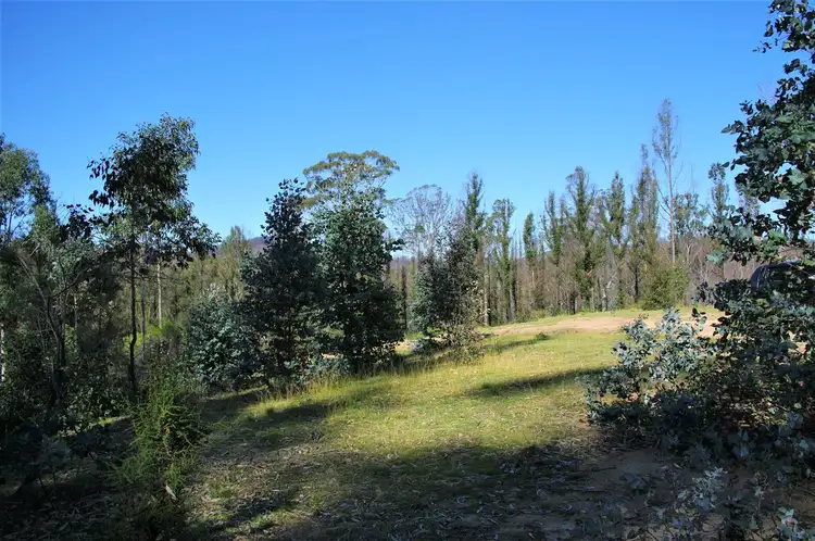 Third view of Homely rural property listing, Lot 380 New Station Creek Road, Wyndham NSW 2550