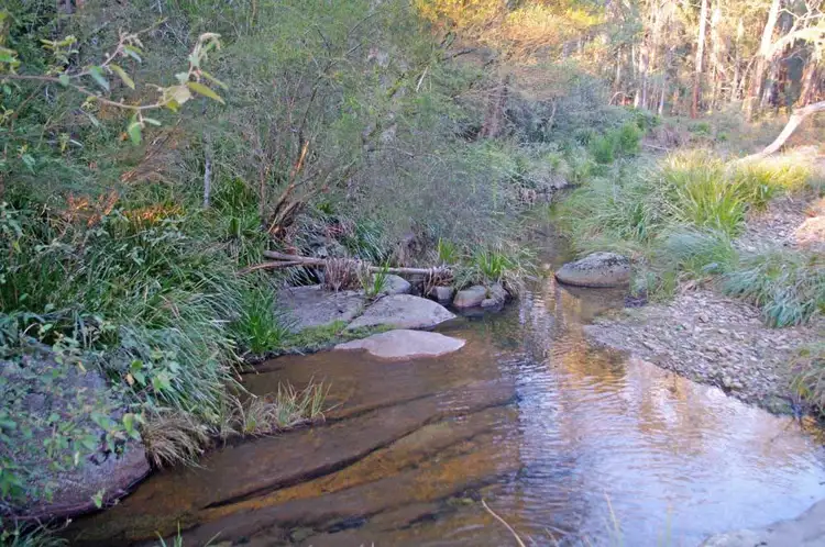 Lot 446 Warrawilla Road, Bombala NSW 2632