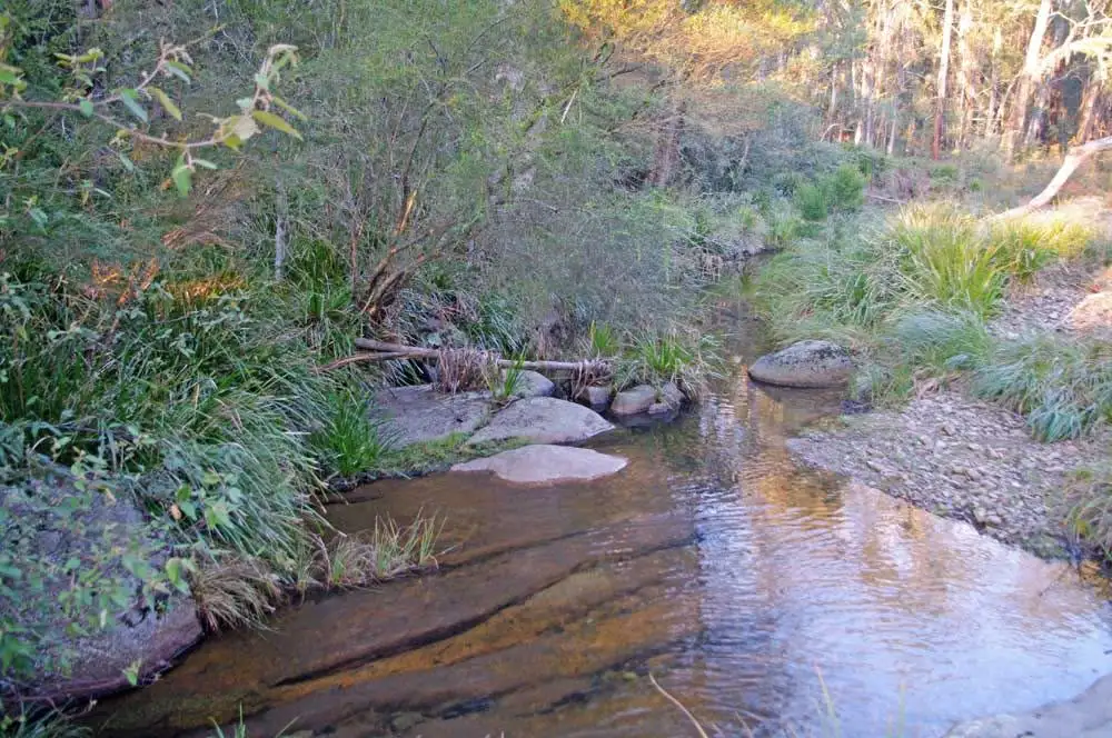 Main view of Homely rural property listing, Lot 446 Warrawilla Road, Bombala NSW 2632