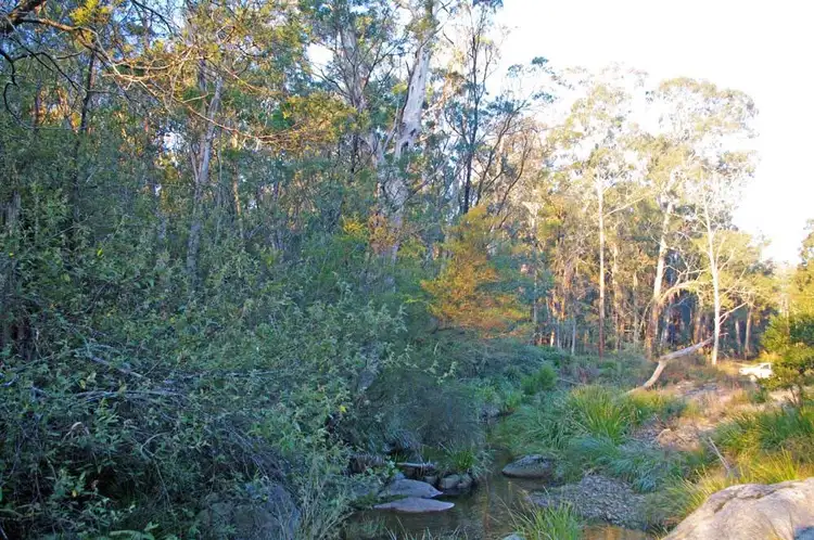 Fifth view of Homely rural property listing, Lot 446 Warrawilla Road, Bombala NSW 2632