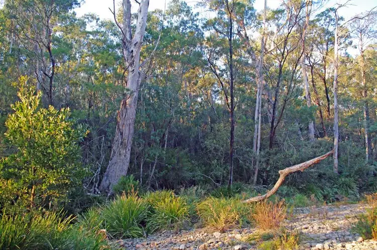 Seventh view of Homely rural property listing, Lot 446 Warrawilla Road, Bombala NSW 2632