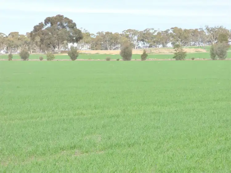 Fifth view of Homely rural property listing, 23 Lower Norton Nurrabiel Road, Lower Norton VIC 3401
