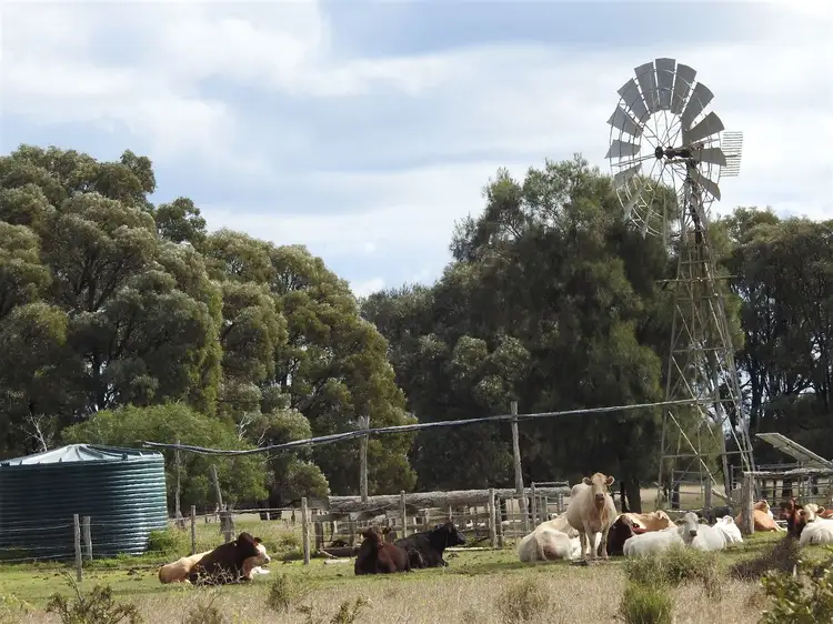Third view of Homely rural property listing, 197 Swains Rd, Durong QLD 4610