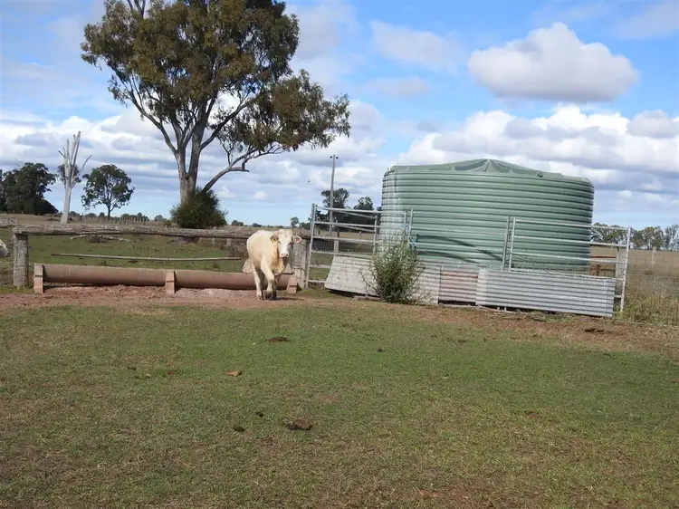 Fourth view of Homely rural property listing, 197 Swains Rd, Durong QLD 4610