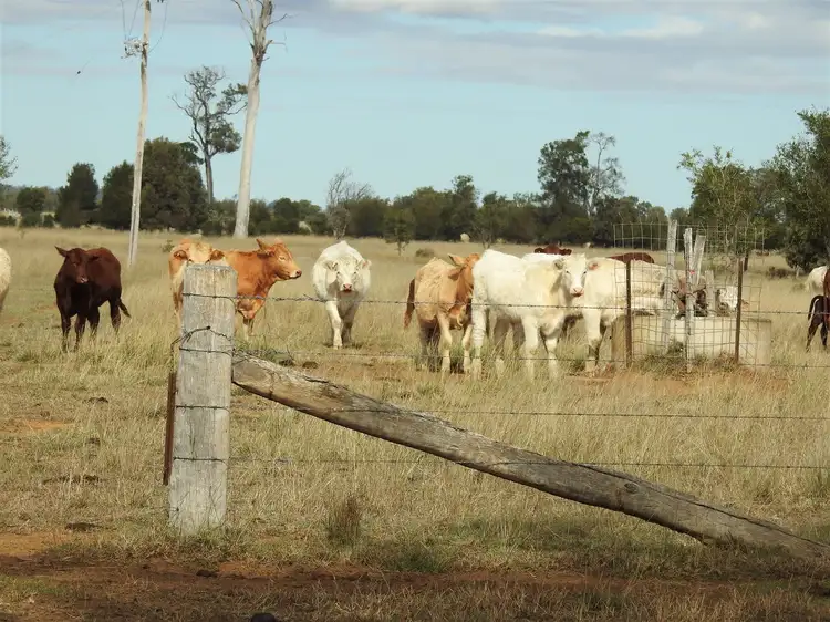 Seventh view of Homely rural property listing, 197 Swains Rd, Durong QLD 4610