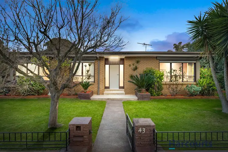 43 Pasadena Cres, Bentleigh East VIC 3165