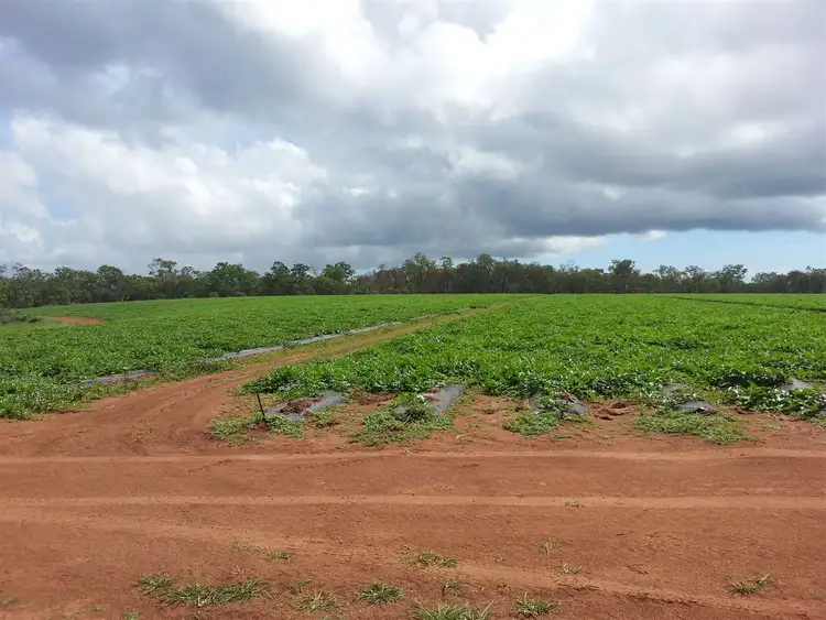 Second view of Homely rural property listing, 205 Dicksons Road, Yandaran QLD 4673