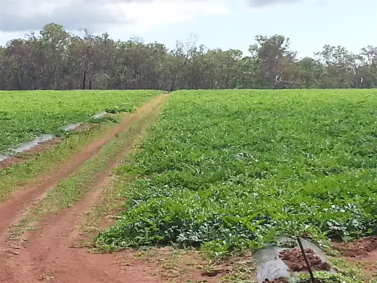 Third view of Homely rural property listing, 205 Dicksons Road, Yandaran QLD 4673