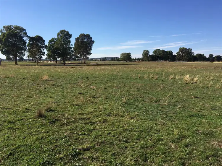 Main view of Homely rural property listing, 1617 Castlereagh Highway, Gulgong NSW 2852
