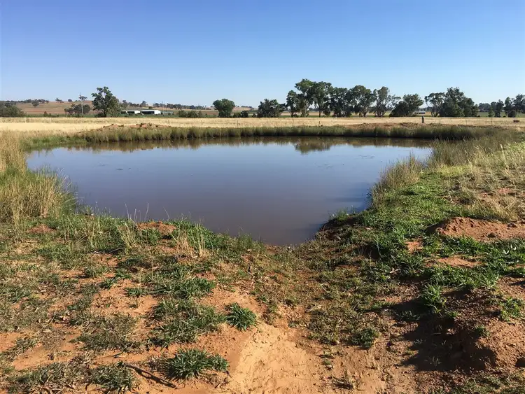Third view of Homely rural property listing, 1617 Castlereagh Highway, Gulgong NSW 2852