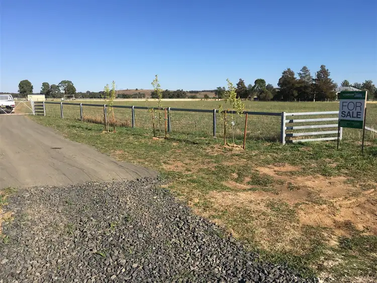 Fourth view of Homely rural property listing, 1617 Castlereagh Highway, Gulgong NSW 2852