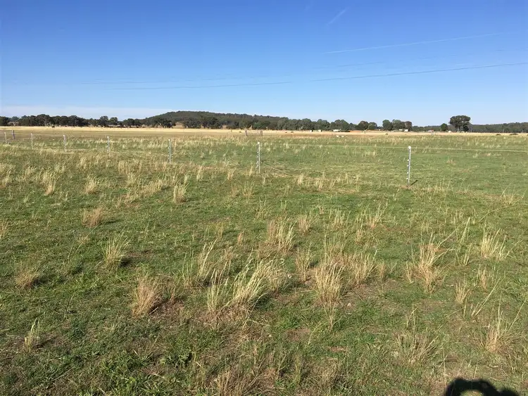 Fifth view of Homely rural property listing, 1617 Castlereagh Highway, Gulgong NSW 2852