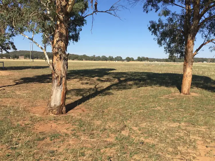 Sixth view of Homely rural property listing, 1617 Castlereagh Highway, Gulgong NSW 2852