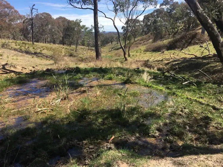 Sixth view of Homely rural property listing, Lot 1/60 Beechworth Road Hargraves, Mudgee NSW 2850