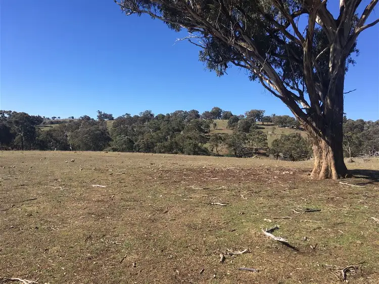 Fifth view of Homely rural property listing, Lot 3/60 Beechworth Road Hargraves, Mudgee NSW 2850