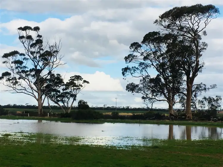 Crnr Bencubbin-Gabbin Rd & Hiscox Rd, Gabbin WA 6476