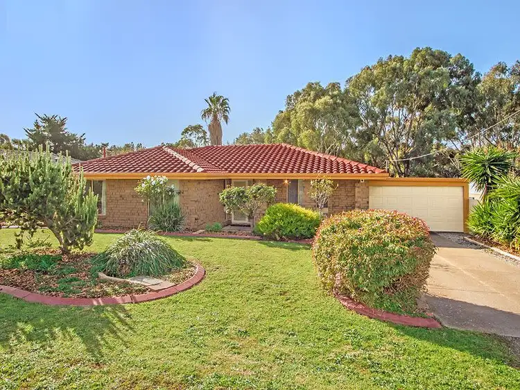 Main view of Homely house listing, 59 Doctors Road, Morphett Vale SA 5162