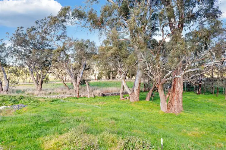 Fifth view of Homely house listing, 12 Kangaroo Terrace (off Sims Road), Mount Barker SA 5251
