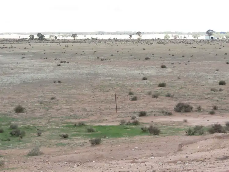 Fifth view of Homely rural property listing, . "KANEMBO", West Wyalong NSW 2671