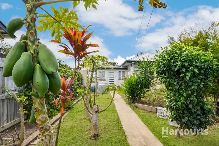 28 Hardiman Street, Woody Point QLD 4019