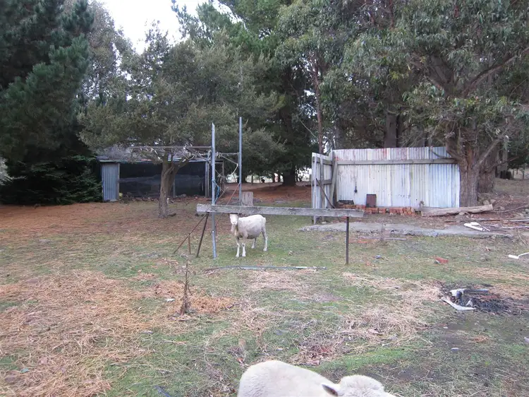 Fifth view of Homely house listing, 52 New Country Marsh Road, Levendale TAS 7120