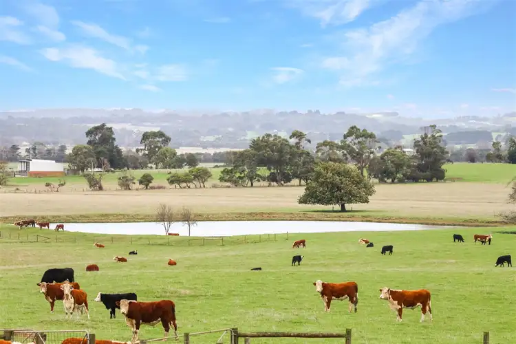 Third view of Homely rural property listing, 165 Leongatha South Outtrim Road, Leongatha South VIC 3953