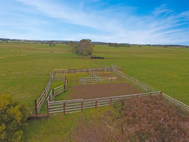 Seventh view of Homely rural property listing, 165 Leongatha South Outtrim Road, Leongatha South VIC 3953