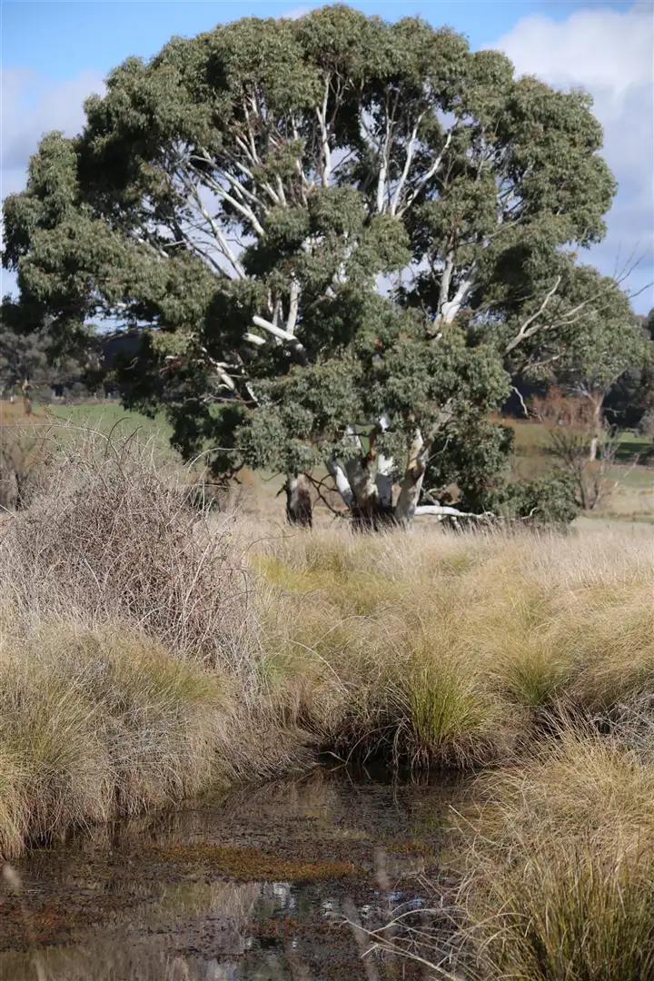 lot 87 Flacknell Creek road, Gunning NSW 2581