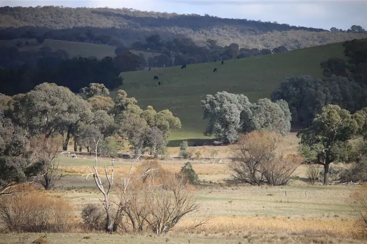 Third view of Homely rural property listing, lot 87 Flacknell Creek road, Gunning NSW 2581
