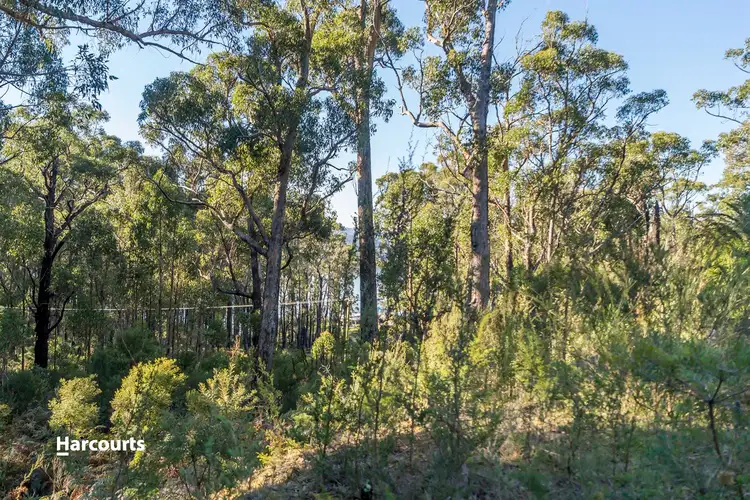 Fifth view of Homely land listing, 458 Esperance Coast Road, Brooks Bay TAS 7116