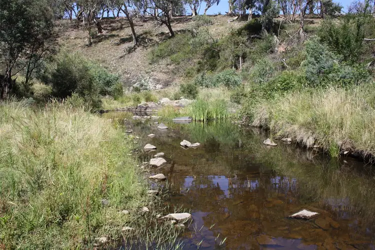 Fourth view of Homely rural property listing, Lots 19,99 & 177 Campbells Creek Road Campbells Creek, Mudgee NSW 2850