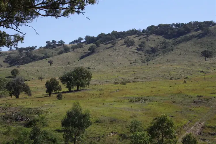 Fifth view of Homely rural property listing, Lots 19,99 & 177 Campbells Creek Road Campbells Creek, Mudgee NSW 2850