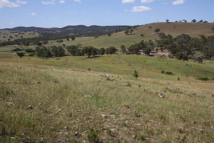 Seventh view of Homely rural property listing, Lots 19,99 & 177 Campbells Creek Road Campbells Creek, Mudgee NSW 2850