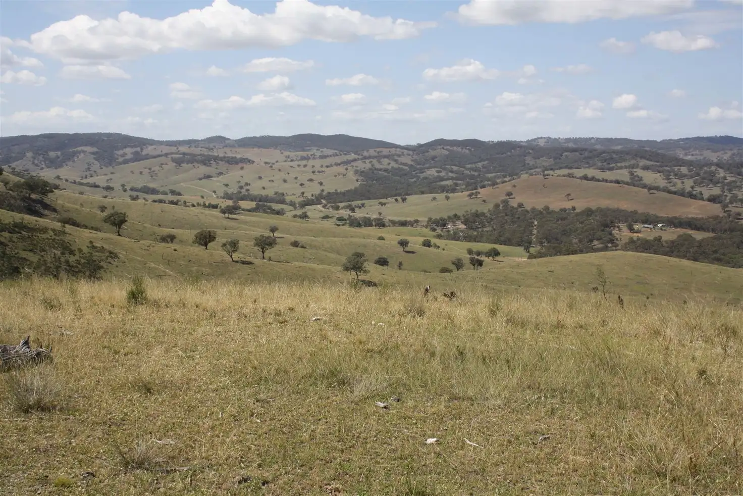 Main view of Homely rural property listing, Lot 178 Queens Pinch Road Meroo, Mudgee NSW 2850