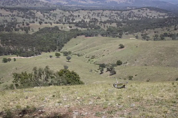 Fifth view of Homely rural property listing, Lot 178 Queens Pinch Road Meroo, Mudgee NSW 2850