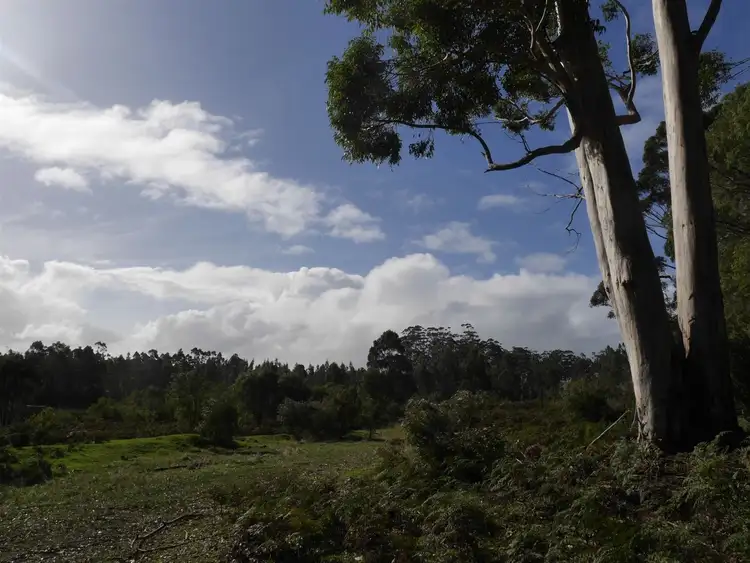 Third view of Homely rural property listing, 8325 Gabbedy Road, Meerup WA 6262