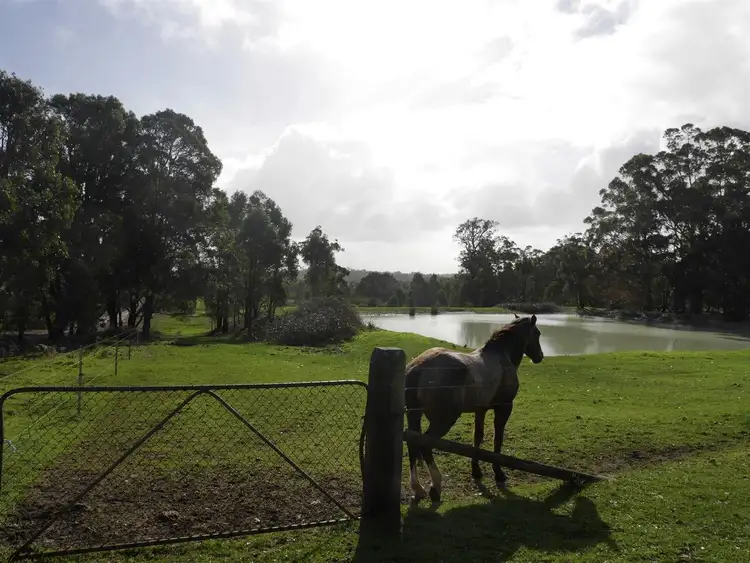 Fourth view of Homely rural property listing, 8325 Gabbedy Road, Meerup WA 6262