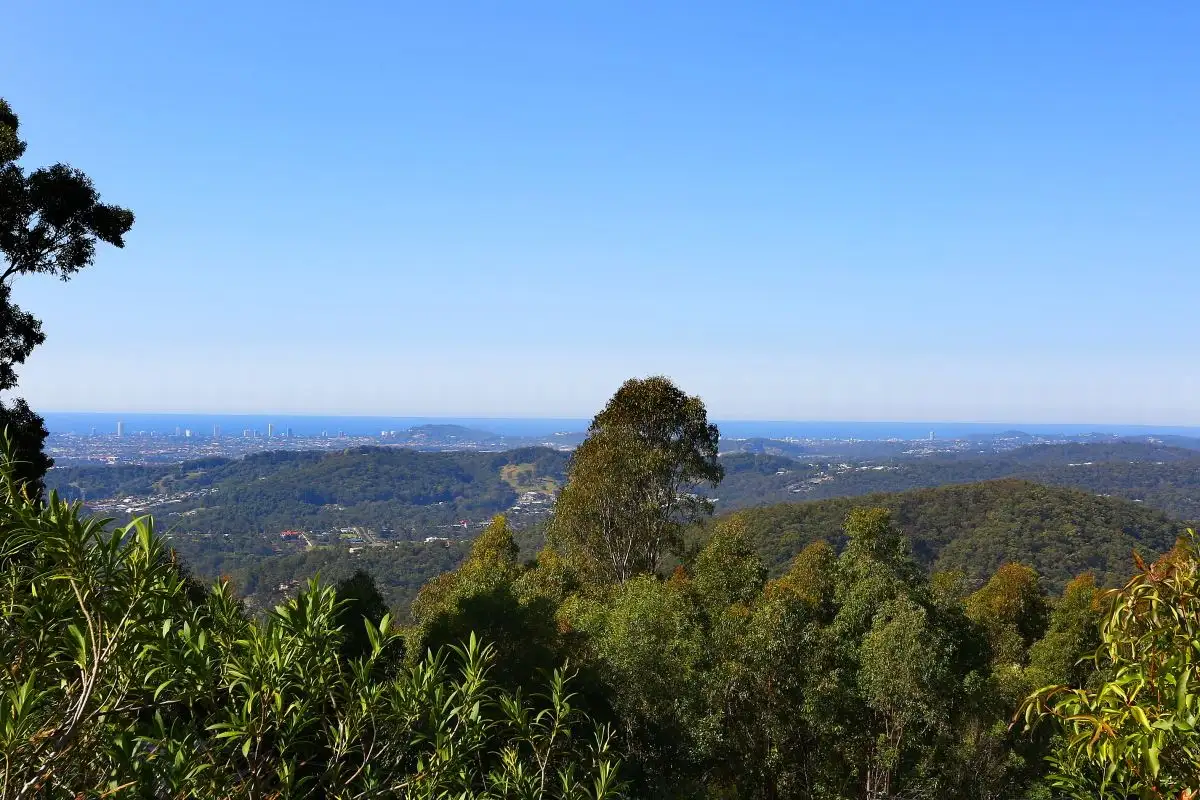 Main view of Homely house listing, 256 Monaro Road, Mudgeeraba QLD 4213