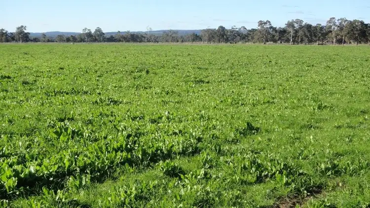 Third view of Homely rural property listing, ' Boyanup - Picton Road ', Dardanup WA 6236