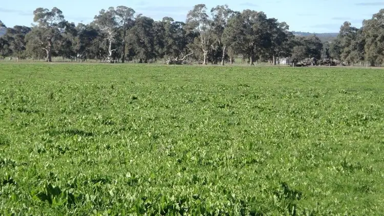 Sixth view of Homely rural property listing, ' Boyanup - Picton Road ', Dardanup WA 6236