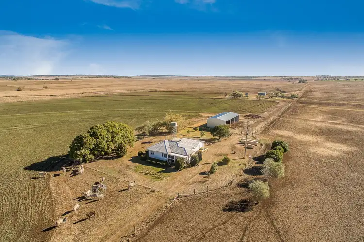 Main view of Homely rural property listing, 291 Back Plains Road, Back Plains QLD 4361