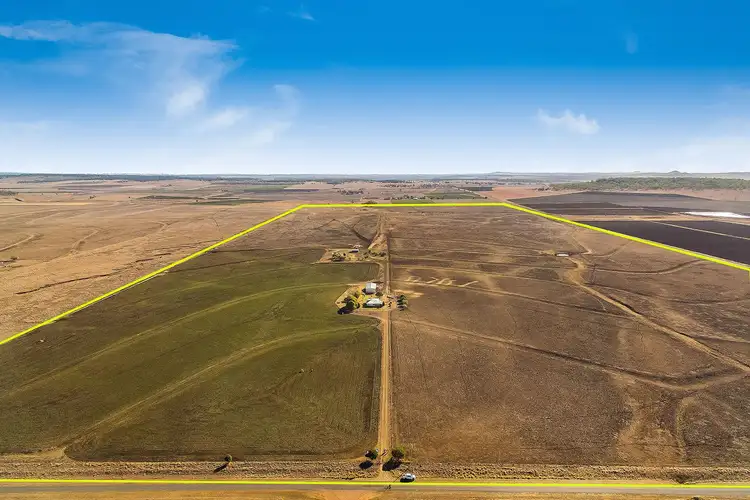 Fourth view of Homely rural property listing, 291 Back Plains Road, Back Plains QLD 4361
