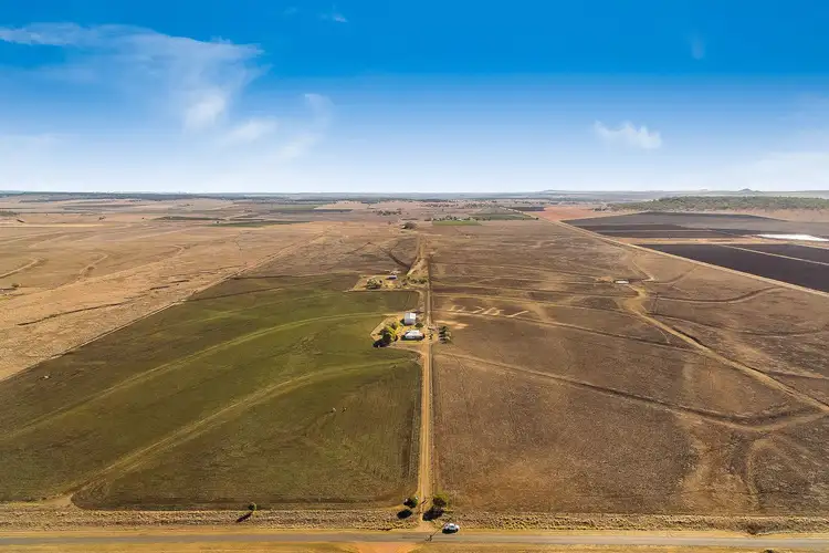 Seventh view of Homely rural property listing, 291 Back Plains Road, Back Plains QLD 4361