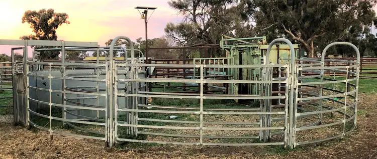 Fourth view of Homely rural property listing, . Somerleyton, Deniliquin NSW 2710