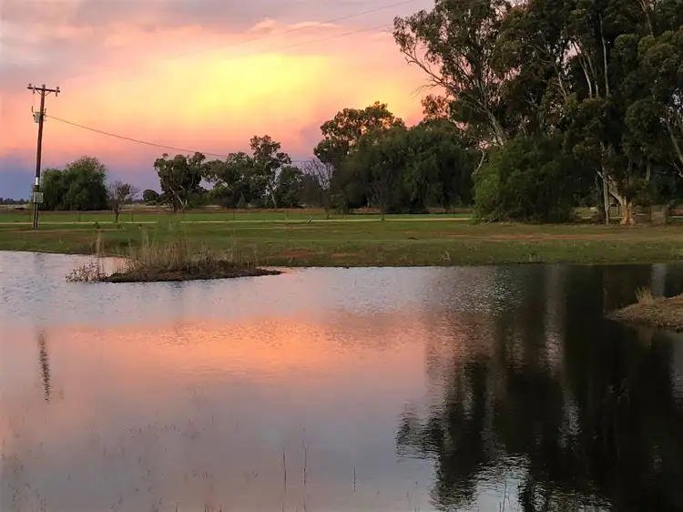 Sixth view of Homely rural property listing, . Somerleyton, Deniliquin NSW 2710