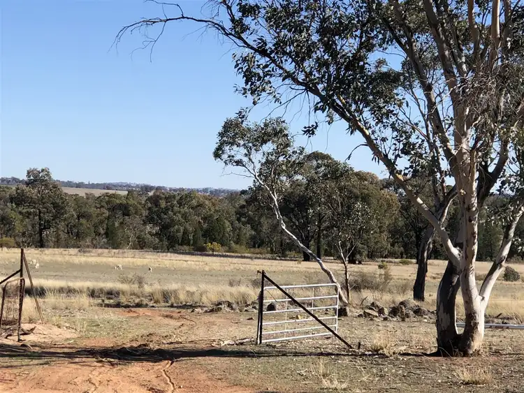 Fifth view of Homely rural property listing, Address available on request