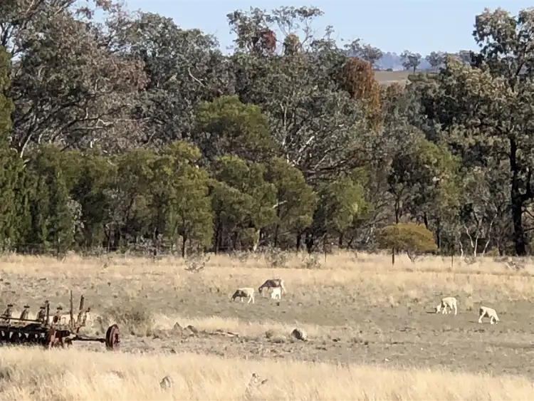 Seventh view of Homely rural property listing, Address available on request