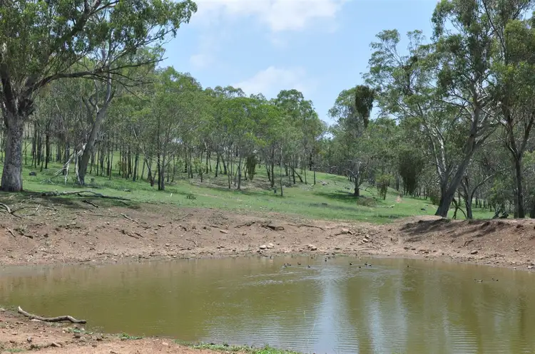 Main view of Homely rural property listing, 385 Gibbergunyah Rd, "Top Nioka", Scone NSW 2337