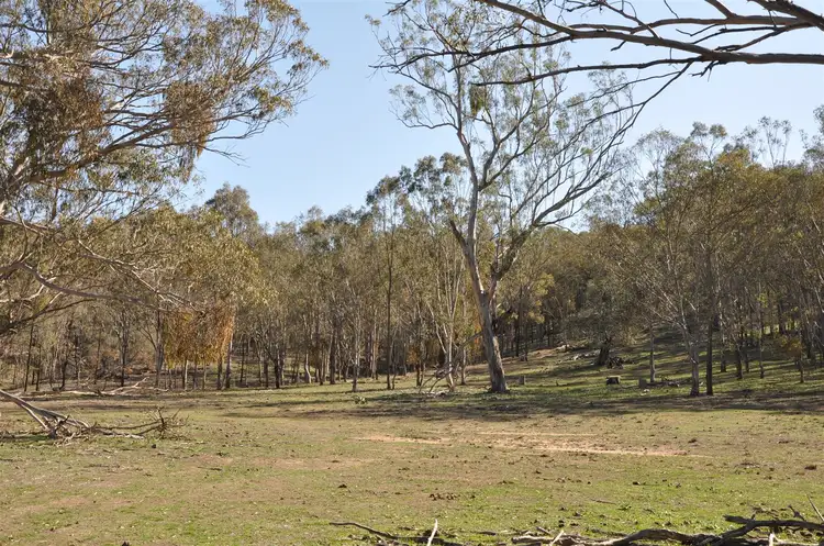 Fourth view of Homely rural property listing, 385 Gibbergunyah Rd, "Top Nioka", Scone NSW 2337