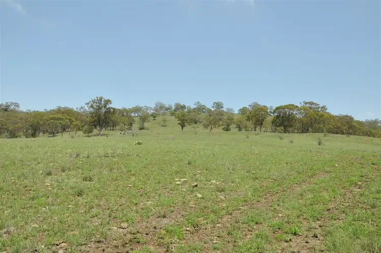Sixth view of Homely rural property listing, 385 Gibbergunyah Rd, "Top Nioka", Scone NSW 2337
